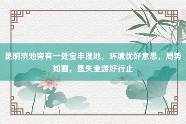 昆明滇池旁有一处宝丰湿地，环境优好意思，局势如画，是失业游好行止